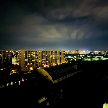 Botanic Nest Panoramic *