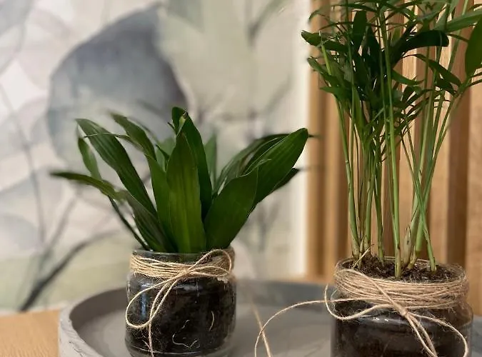 Botanic Nest Panoramic *