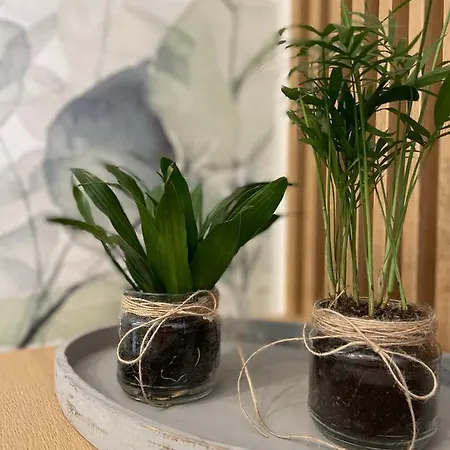 Botanic Nest Panoramic *