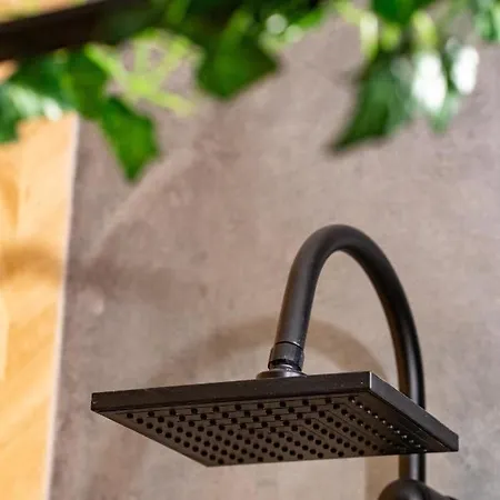 Daire Botanic Nest Panoramic