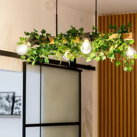 Botanic Nest Panoramic